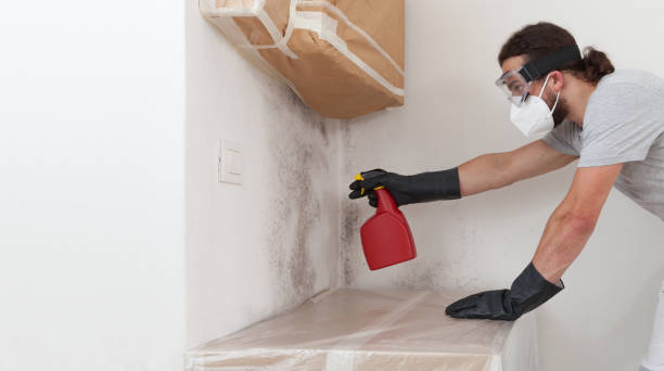 Professional Mold Removal technician working in Glen Cove, NY